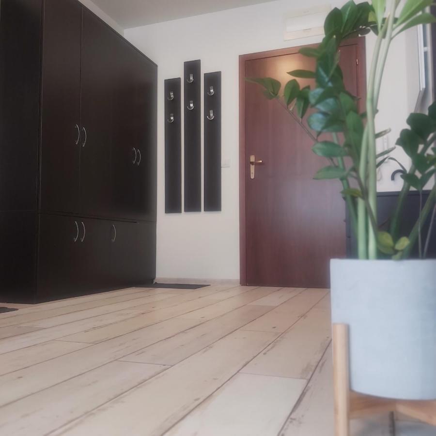Saint Nicholas Varna Lovely 2 Bedroom Apartment With Sunny Garden Eksteriør billede