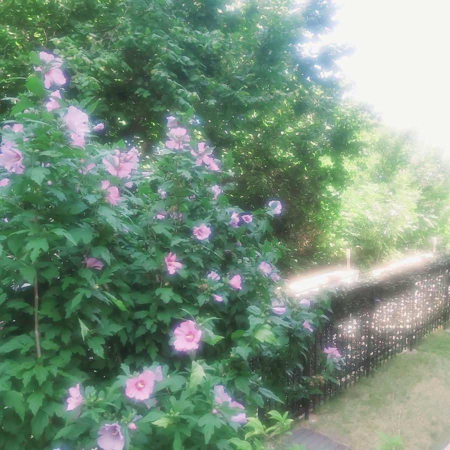 Saint Nicholas Varna Lovely 2 Bedroom Apartment With Sunny Garden Eksteriør billede